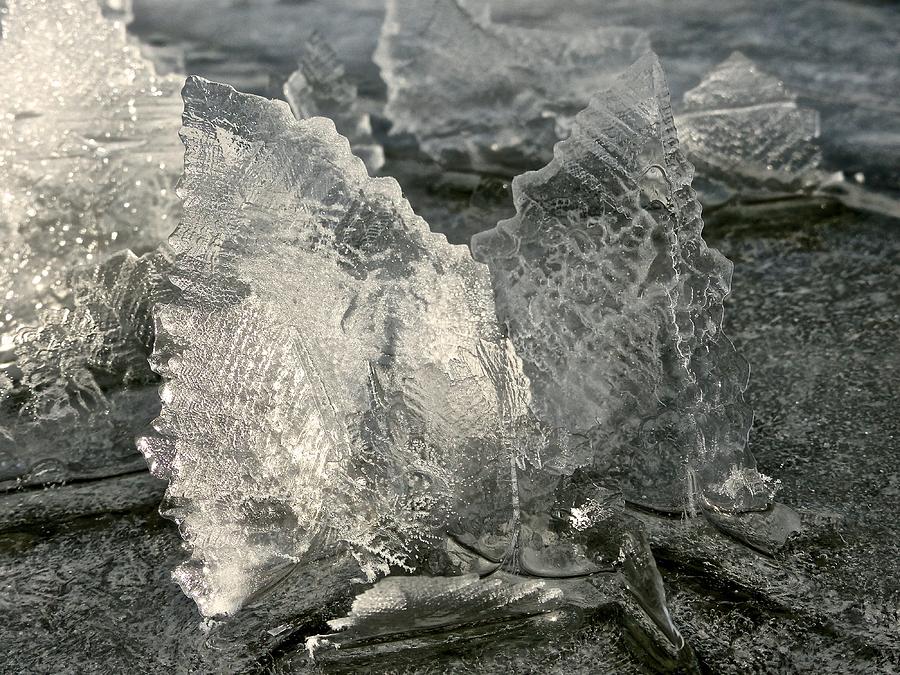 Ice Crystals, photograph by Robert McGreevy